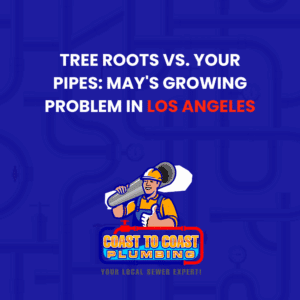 tree root pipe damage Los Angeles